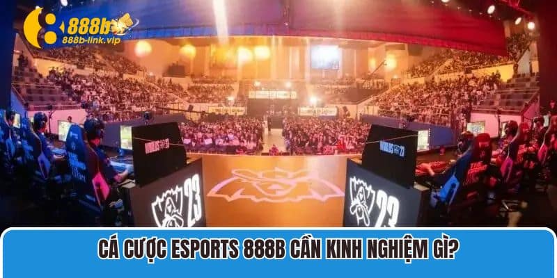 Esports 888B Cá cược Esports 888B cần kinh nghiệm gì?