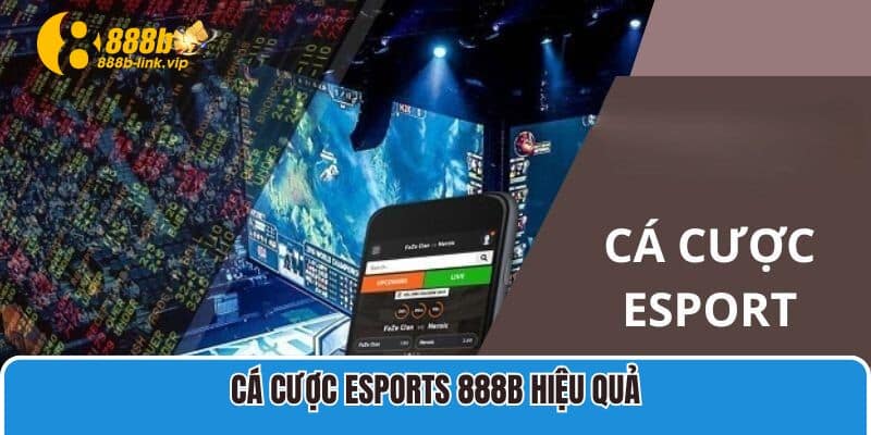 Esports 888B Cá cược Esports 888B hiệu quả