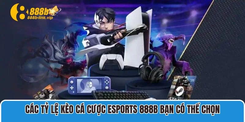 Esports 888B Các tỷ lệ kèo cá cược Esports 888B bạn có thể chọn